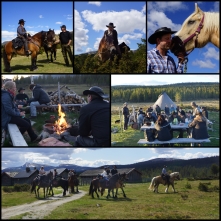 Herding of cattle in Rondane National Park with Sulseter Riding Camp
